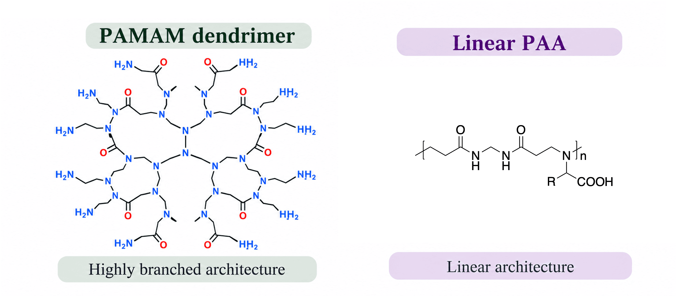 Flame retardant applications of polyamidoamine dendrimers (PAMAM) and linear polyamidoamines (PAAs) in plastics and textiles
